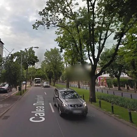 - Heart Of - Sector 1 - New Renovated - Open Space Bukarest