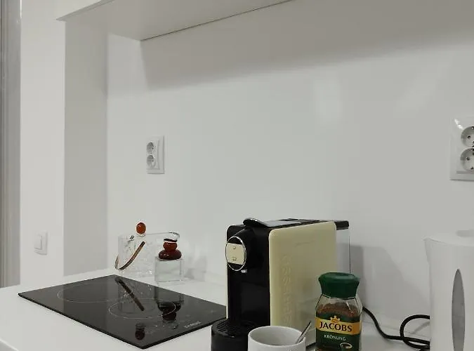 - Heart Of - Sector 1 - New Renovated - Open Space * Bükreş