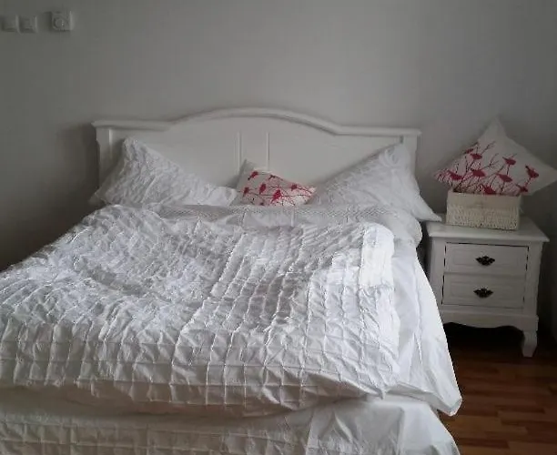 Apartament - Heart Of - Sector 1 - New Renovated - Open Space Bucureşti